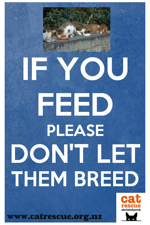 If You Feed